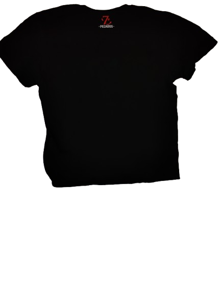 Camiseta Básica “O DEMO”